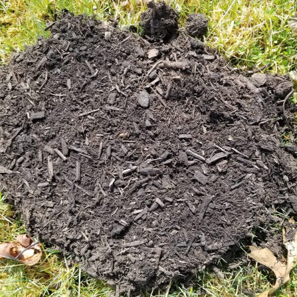 Leaf Compost