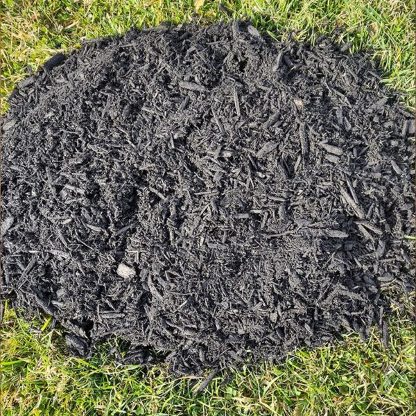 Black Mulch