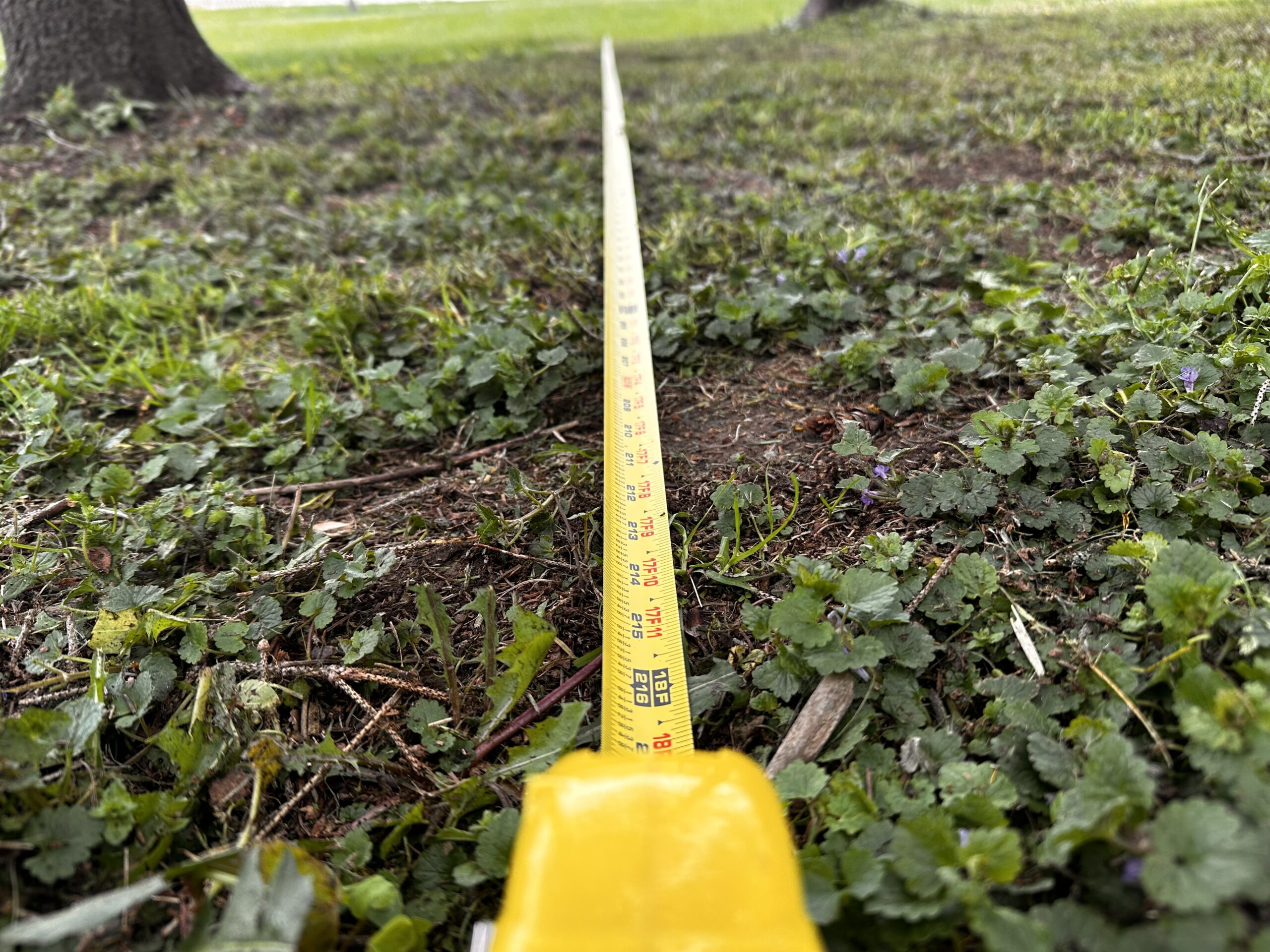 Measure Width