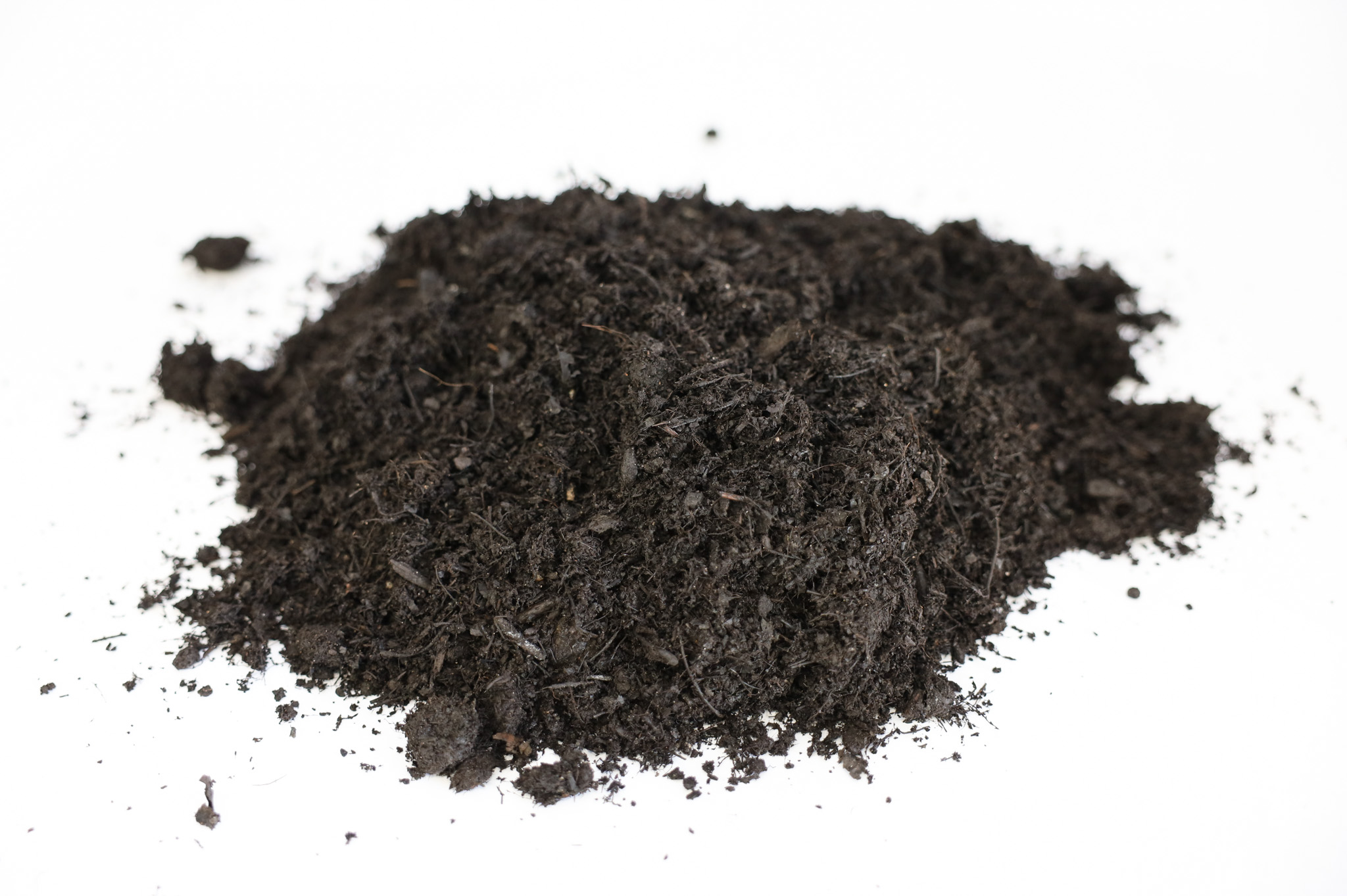 Leaf Compost